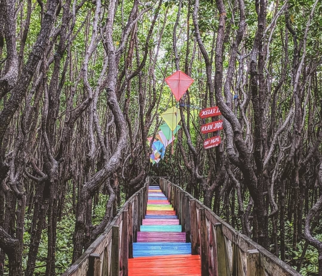 Hutan Mangrove Tongke-tongke