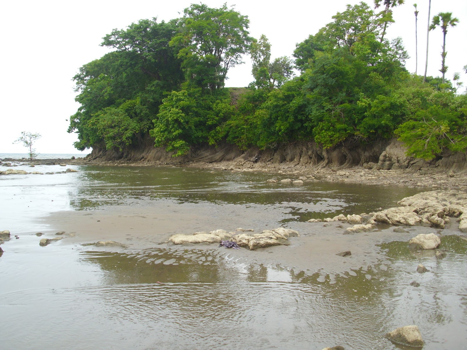 Pantai Ujung Kupang